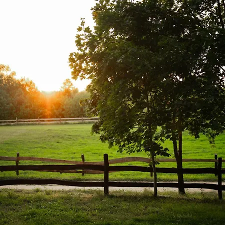 Pilwa 17 - Glamping Na Lace